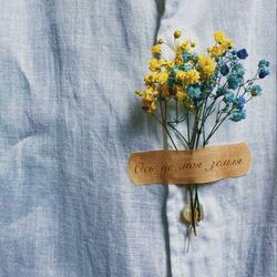 Ось це моя земля