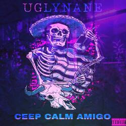 CEEP CALM AMIGO