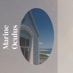 Promised Screenwriter