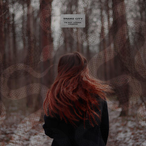 I'm Not Gonna Change