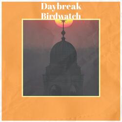 Daybreak Birdwatch