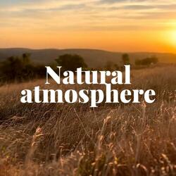 Natural Atmosphere