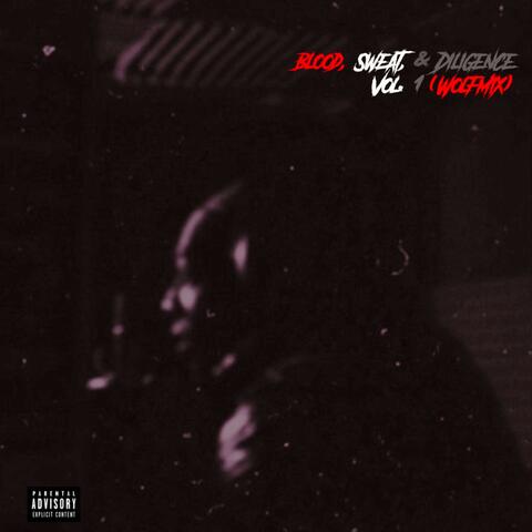 Blood, Sweat & Diligence Vol. 1 (WolfMix)