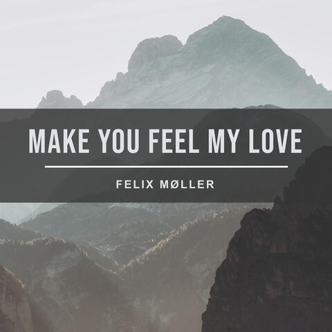 Make you feel my love