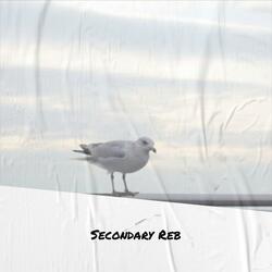 Secondary Reb