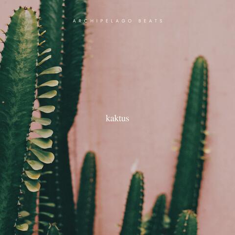 kaktus