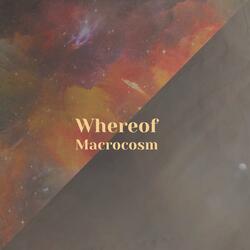 Whereof Macrocosm