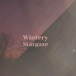 Wintery Stargaze
