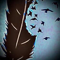 Birds Of Feather