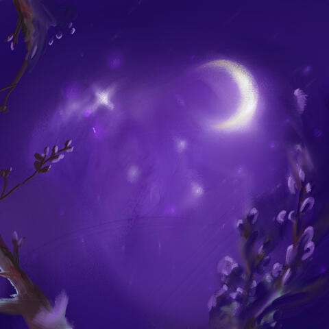Dream