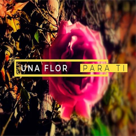 Una Flor para Ti