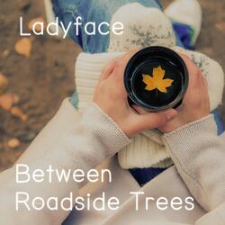 How To Enjoy Autumn