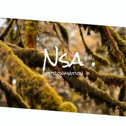 Nsa Approximation