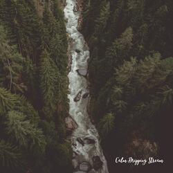 Calm Dripping Stream