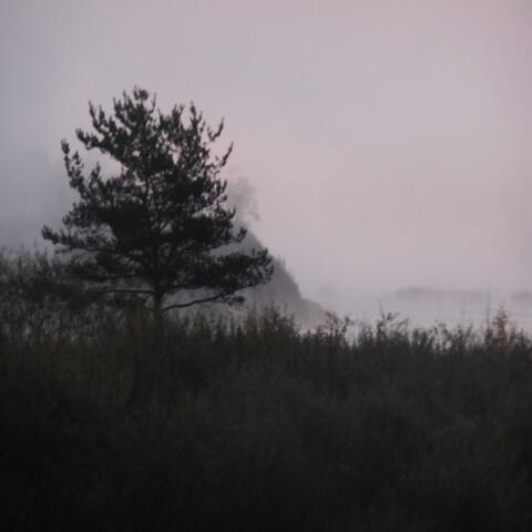 Traveling Through Autumn