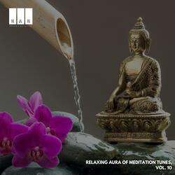 The Sleep and Healing 528 Hz