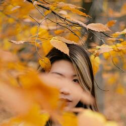 Don't Look Back in Anger