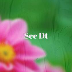 See Dt