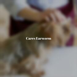 Cares Earworm
