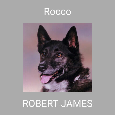 Rocco