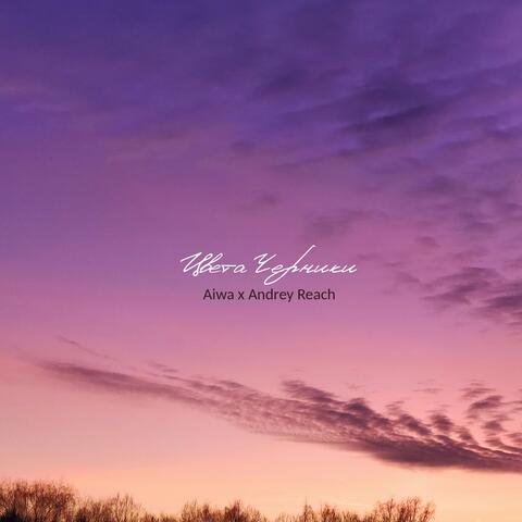 Цвета Черники