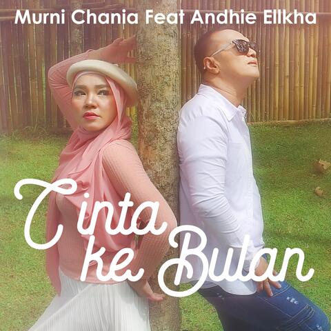Cinta Ke Bulan