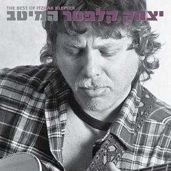 נוהג במכונית