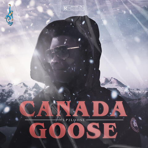 Canada Goose