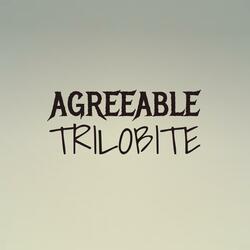 Agreeable Trilobite