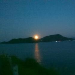 Tango Dancing with the Moon