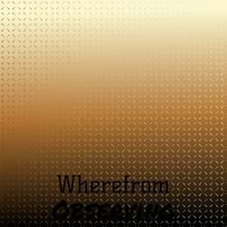 Wherefrom Observing
