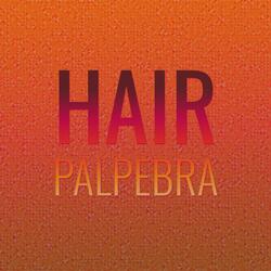 Hair Palpebra