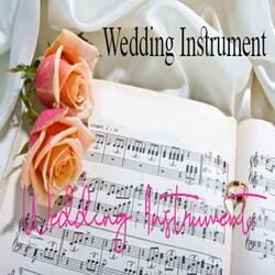 Wedding Instrument