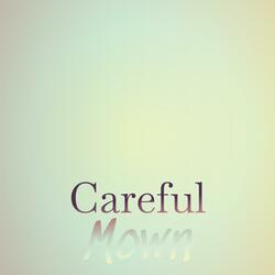 Careful Mown