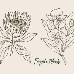 Fragile Minds