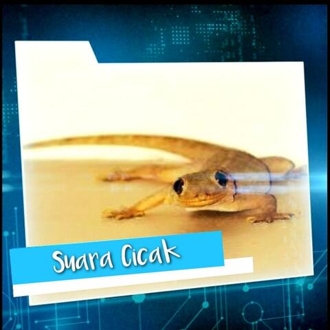 Suara Cicak