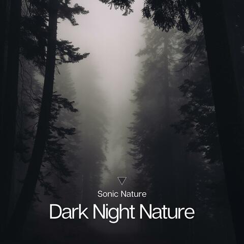 Dark Night Nature