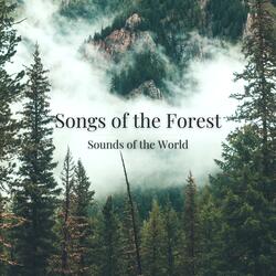 The Riff of the Forest