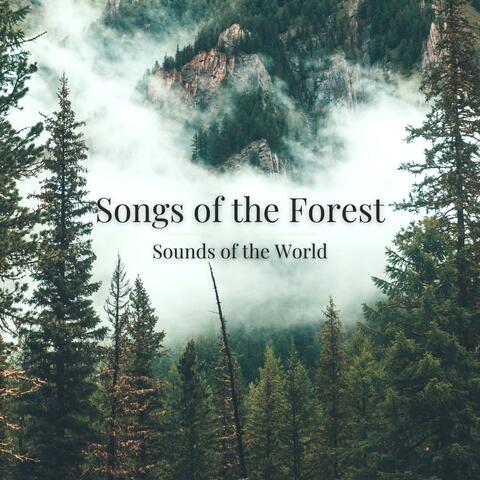 Songs of the Forest