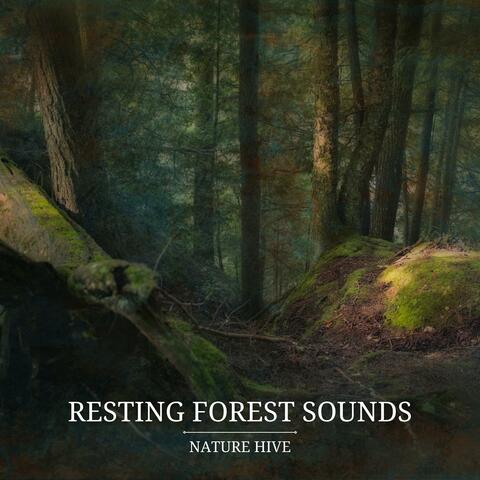 Resting Forest Sounds