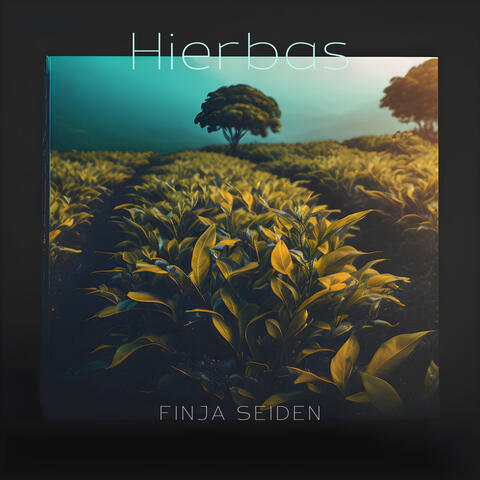 Hierbas