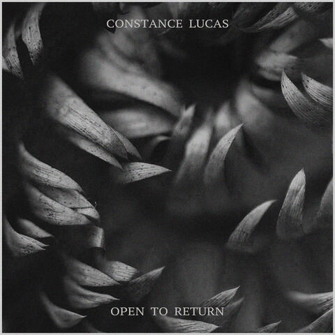 Open to return