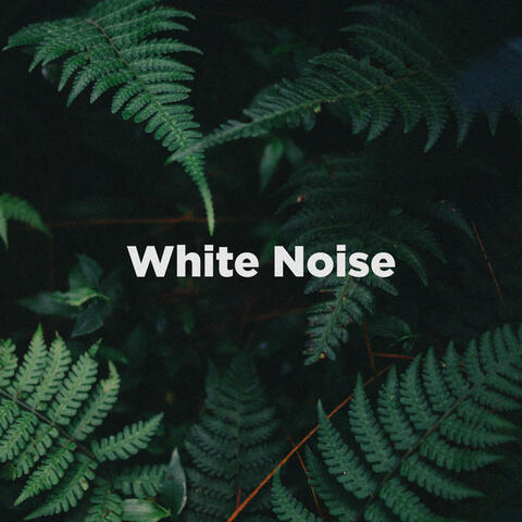 Low Frequency - White Noise Meditation