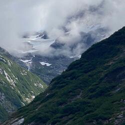 Peanut Butter & Jelly Sandwich