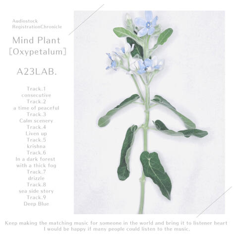 Mind Plant［Oxypetalum］