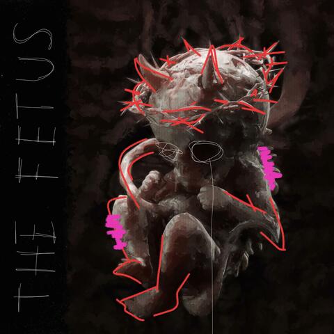 The Fetus