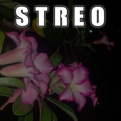 Streo