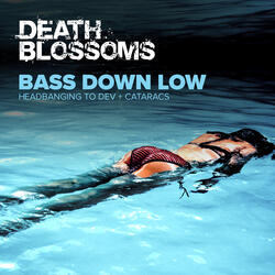 Bass Down Low - Instrumental