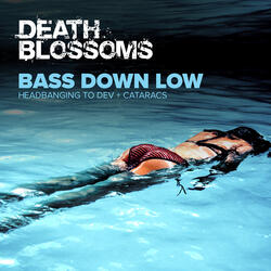 Bass Down Low