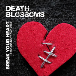 Break Your Heart - Acapella